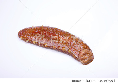 Red sea cucumber Red sea cucumber 39468091