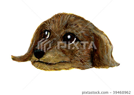 Illustration of a dog's face Illustration of a dog's face 39468962