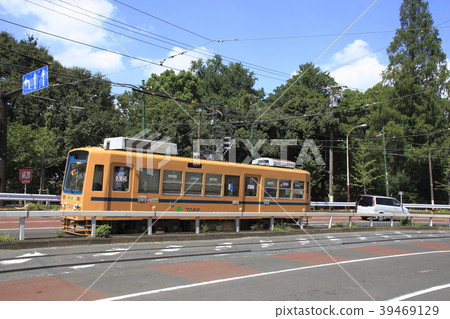 都電荒川線7000型（黃/藍帶） 39469129