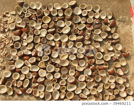 Coconut pattern background. Half and whole 39469211