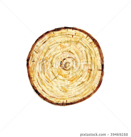 Log illustration Log illustration 39469288