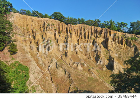 阿波的支柱（Watukuda） 39469444