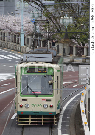 Sakura和Toden 7000在Asukayama公園 39469466