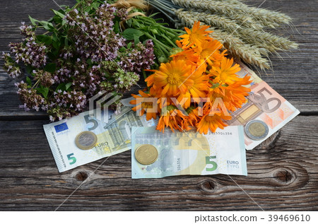 euro money and medical herbs with wheat ears euro money and medical herbs with wheat ears 39469610
