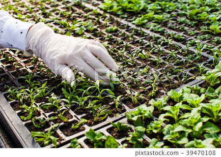 Young woman biologist Young woman biologist 39470108