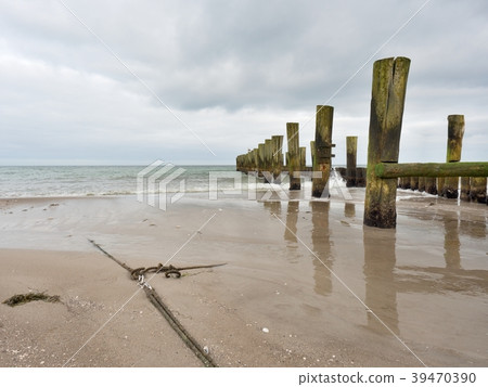Mossy breakwater poles in smooth water of sea  39470390