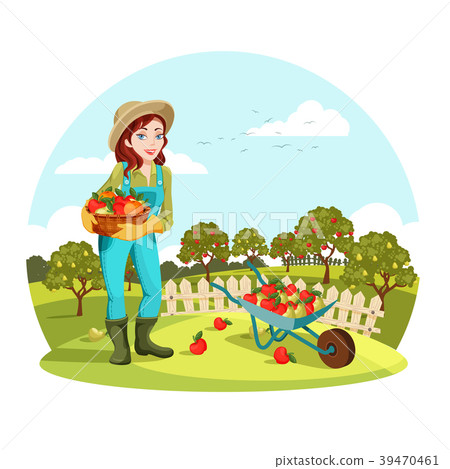 Woman or female gardener holding apples, pears 39470461