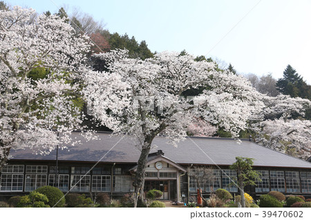 前Kamioka小學茨城縣大子町 39470602