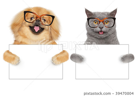 Cat and Dog hold empty banner Cat and Dog hold empty banner 39470804