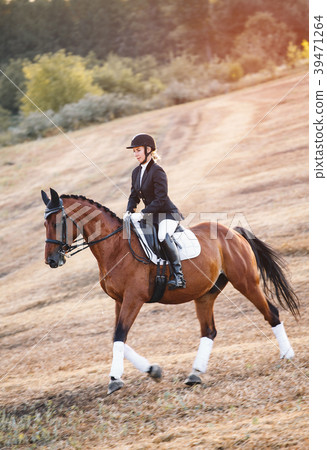 woman riding on brown horse wearing helmet woman riding on brown horse wearing helmet 39471264