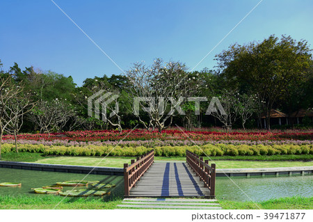 View of public parkland has wooden bridge 39471877
