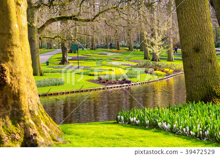 Colorful flowers blossom in dutch spring garden 39472529