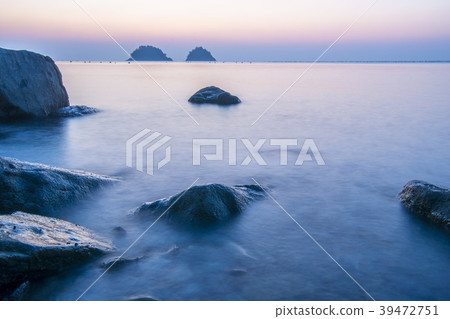 Mushroom, Yeosu, Jeonnam Mushroom, Yeosu, Jeonnam 39472751