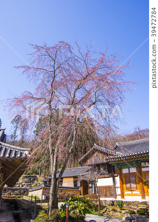 Sun-am Temple (Historic Site No. 507), Chogye Mountain, Suncheon City, Jeonnam Sun-am Temple (Historic Site No. 507), Chogye Mountain, Suncheon City, Jeonnam 39472784