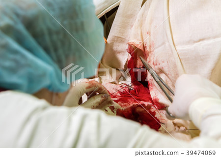 doctor sutures a wound doctor sutures a wound 39474069