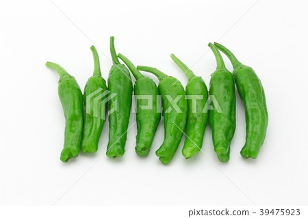 青椒 39475923