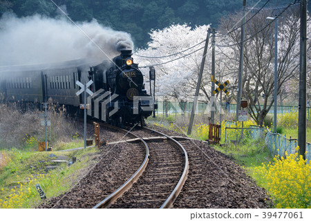 Spring SL Hitoyoshi Spring SL Hitoyoshi 39477061