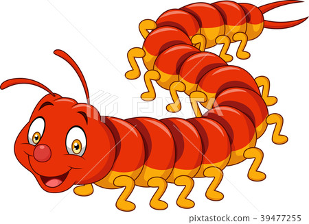 Cartoon centipede isolated on white background Cartoon centipede isolated on white background 39477255