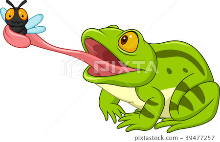 Cartoon frog catching fly Cartoon frog catching fly 39477257