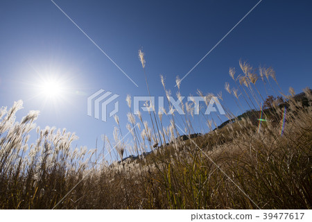 Holiday hiking image (Hyogo Prefecture Toho plateau) Holiday hiking image (Hyogo Prefecture Toho plateau) 39477617