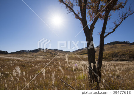 Sun and plateau (Hyogo Prefecture Toho plateau) 39477618