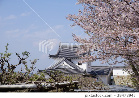 鶴山公園(Tsuyama Castle Fort),岡山市津山市櫻花的著名景點。 鶴山公園(Tsuyama Castle Fort),岡山市津山市櫻花的著名景點。 39478945