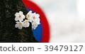 Cherry blossoms @ Tokyo 2018 03 39479127