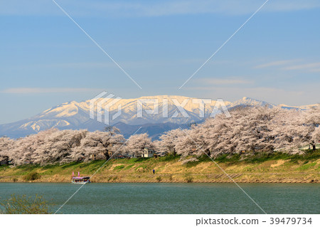 First glance Senbonzakura Ogawara 39479734