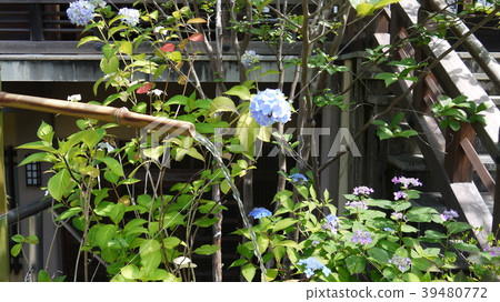 Yata Temple Yata Temple 39480772