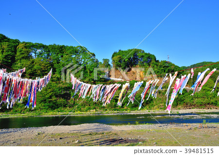 A streamer swimming in the blue sky of Sagami River A streamer swimming in the blue sky of Sagami River 39481515