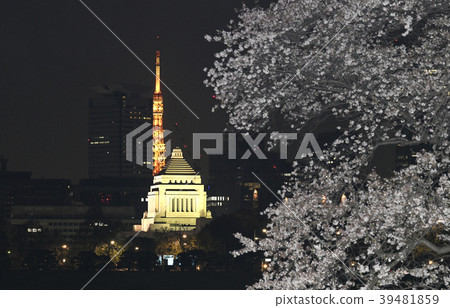 Tokyo cityscape in Japan We look at cherry blossoms, the National Assembly Building, Tokyo Tower, etc. Tokyo cityscape in Japan We look at cherry blossoms, the National Assembly Building, Tokyo Tower, etc. 39481859