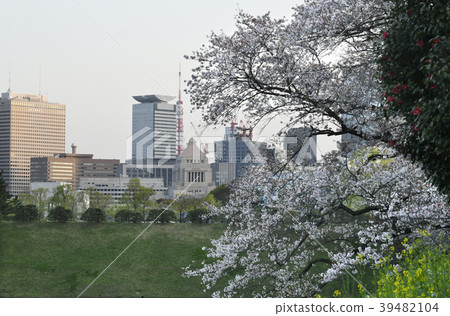 Tokyo cityscape in Japan We look at cherry blossoms, the National Assembly Building, Tokyo Tower, etc. 39482104