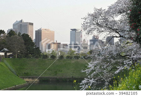 日本的東京都市風景我們看櫻花,國民議會大樓,東京鐵塔等。 日本的東京都市風景我們看櫻花,國民議會大樓,東京鐵塔等。 39482105
