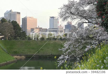 日本的東京都市風景我們看櫻花，國民議會大樓，東京鐵塔等。 39482106