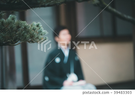 松樹 樹木 樹 39483303