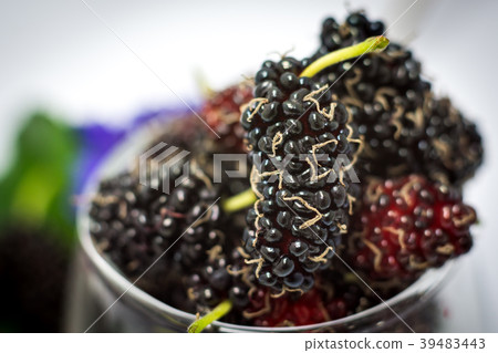 fresh mulberies in a glass fresh mulberies in a glass 39483443