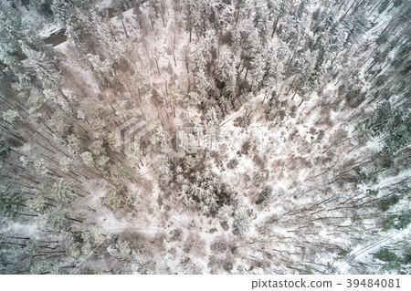 Top view of a forest in the Vosges Mountains 39484081