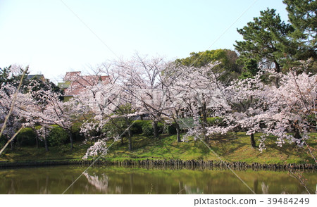 伊丹市Midorigaoka公園 39484249
