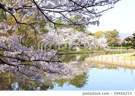 伊丹市Midorigaoka公園 伊丹市Midorigaoka公園 39484253