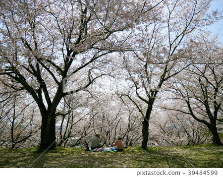 Hanami lunch box Hanami lunch box 39484599