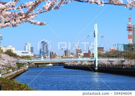 Nagoya city where the cherry blossoms bloom Nagoya city where the cherry blossoms bloom 39484604