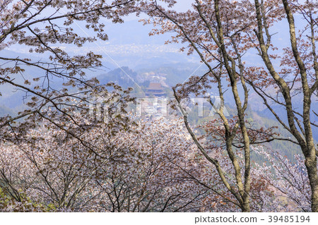 Yoshinoyama 39485194