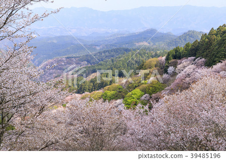 Yoshinoyama 39485196