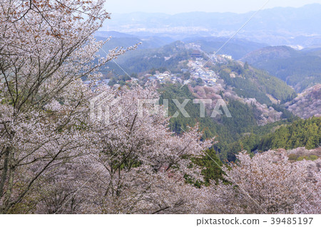 Yoshinoyama 39485197