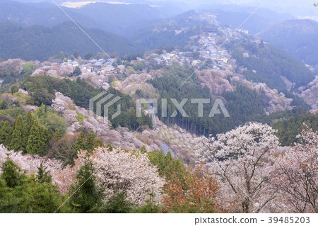 Yoshinoyama Yoshinoyama 39485203
