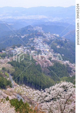 Yoshinoyama Yoshinoyama 39485204