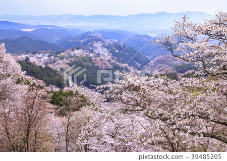 吉野山 39485205