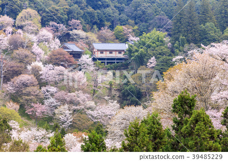 Yoshinoyama 39485229