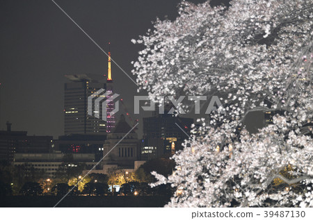 日本東京城市景觀櫻花，東京塔（紅紫色）和國民議會大樓（夜景） 39487130