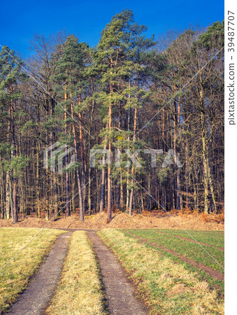 Rural landscape view in Bavaria Germany Rural landscape view in Bavaria Germany 39487707